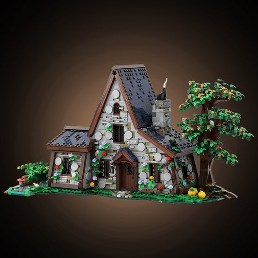 The Witch House