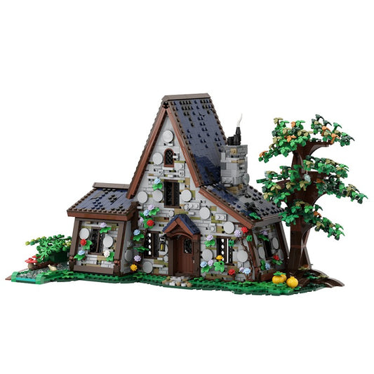 The Witch House