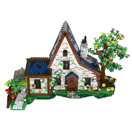 The Witch House
