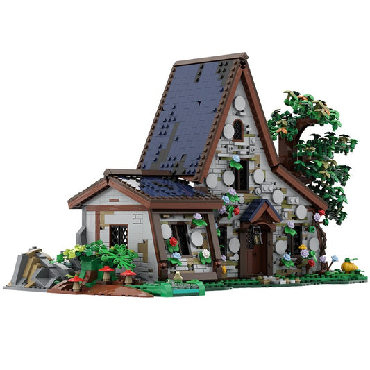The Witch House