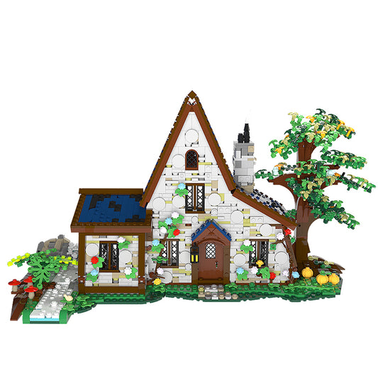 The Witch House