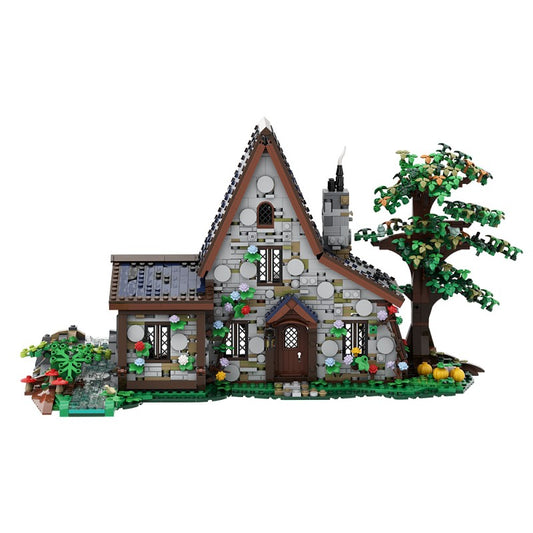 The Witch House