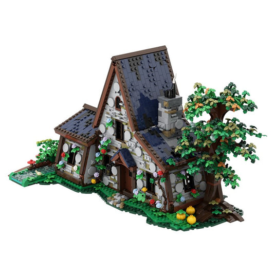 The Witch House