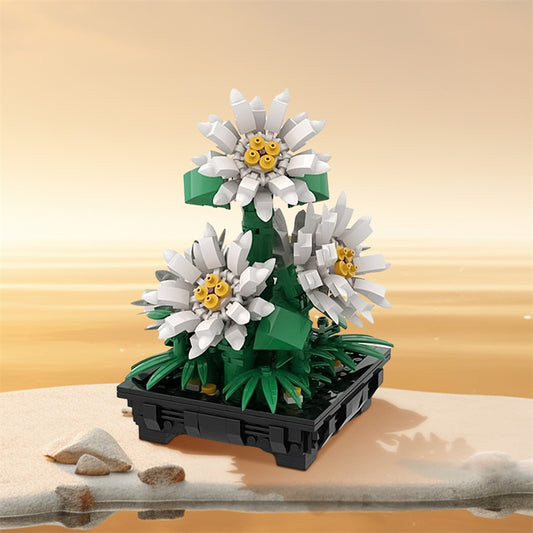 MOC-159352 Daisies