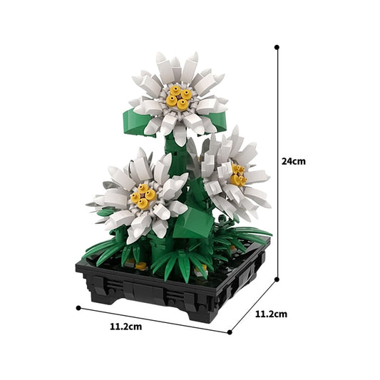MOC-159352 Daisies