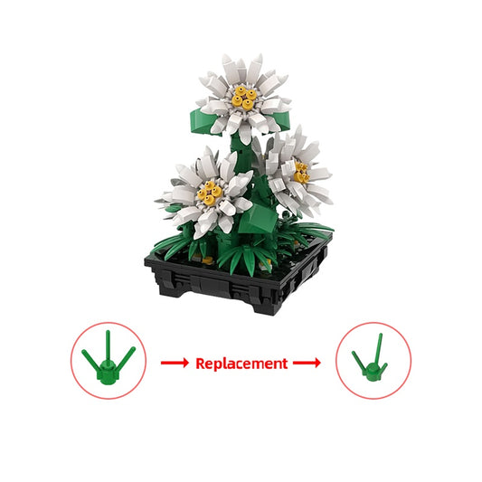 MOC-159352 Daisies