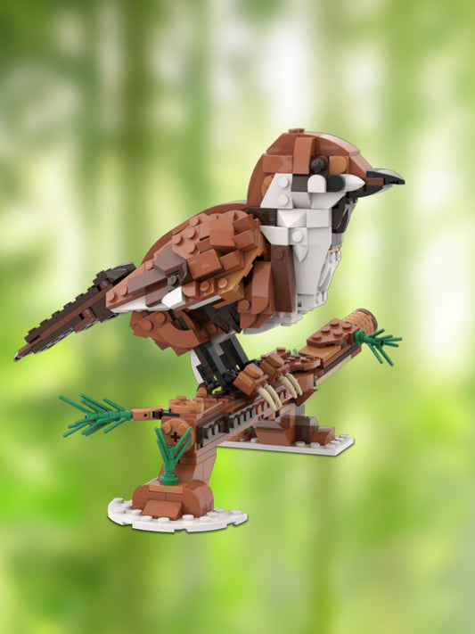 MOC-195794 31154 Sparrow