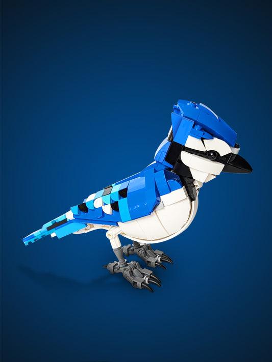 MOC-213837 Bluejay