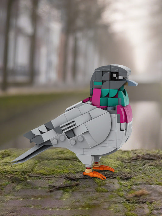 MOC-208738 Feral Pigeon