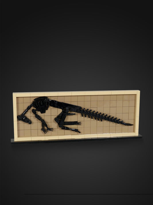 MOC-209384 Hadrosaur Fossil