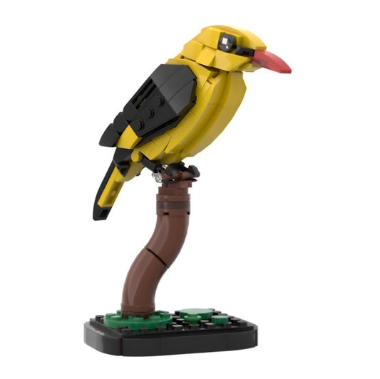 MOC-213411 Golden oriole