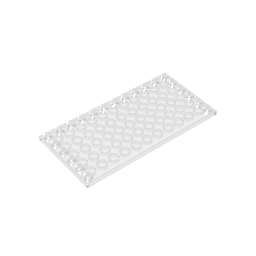 GDS-M049 - Plate Special 6 x 12 with Studs on 3 Edges