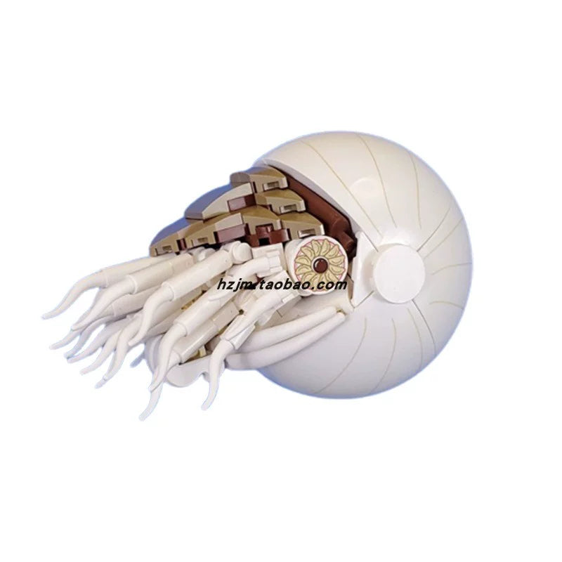 MOC-109411 Shell Nautilus Marine Mollusk Building Block Assembly Model Toy