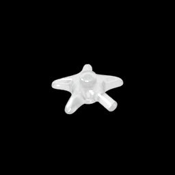 GDS-2096 - Animal, Starfish