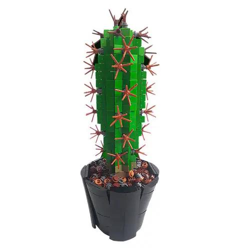 wie viel efeu pro meter Gemeiner Efeu (Hedera helix) | 100-125 cm im Topf main image 1