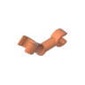 Dark Salmon