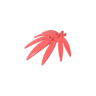 Light Coral