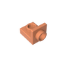 Dark Salmon