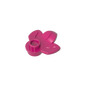 GDS-1576 - Plant, Plate 1 x 1 Round with 3 Leaves