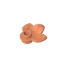 Dark Salmon