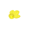 Transparent Yellow 44