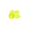 Transparent Fluore Green 49