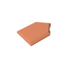Dark Salmon