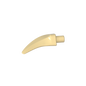 GDS-1583 - Animal Body Part, Barb / Claw / Tooth / Talon / Horn, Medium
