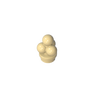 Brick Yellow 5