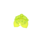 GDS-2043