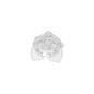 GDS-2043
