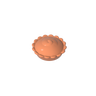 Dark Salmon