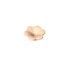Light Nougat 283