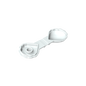 GDS-2097 - Animal, Clam [Type 1 - Continuous Scalloped Inner Lip]