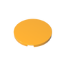 Flame Yellowish Orange 191