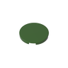 Dark Olive Green