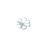 White Smoke