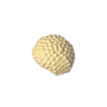 Brick Yellow 5
