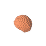 Dark Salmon