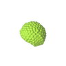 Bright Yellowish Green 119