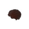 Dark Brown 308
