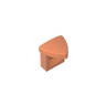 Dark Salmon