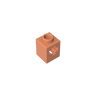 Dark Salmon