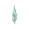 Aqua 323