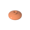 Dark Salmon
