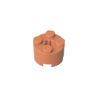 Dark Salmon