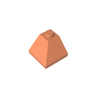 Dark Salmon