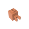 Dark Salmon