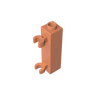Dark Salmon