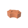 Dark Salmon